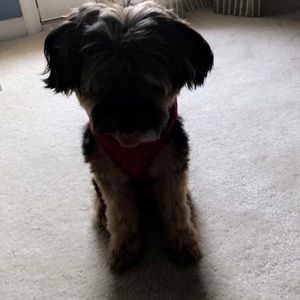 Meet your Posher, Jason